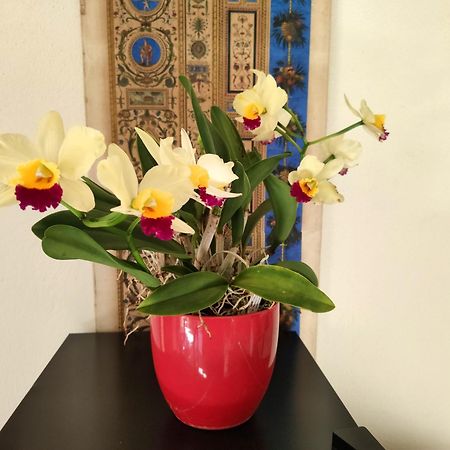 Bed and Breakfast La Casa Nel Borgo Piadena Экстерьер фото